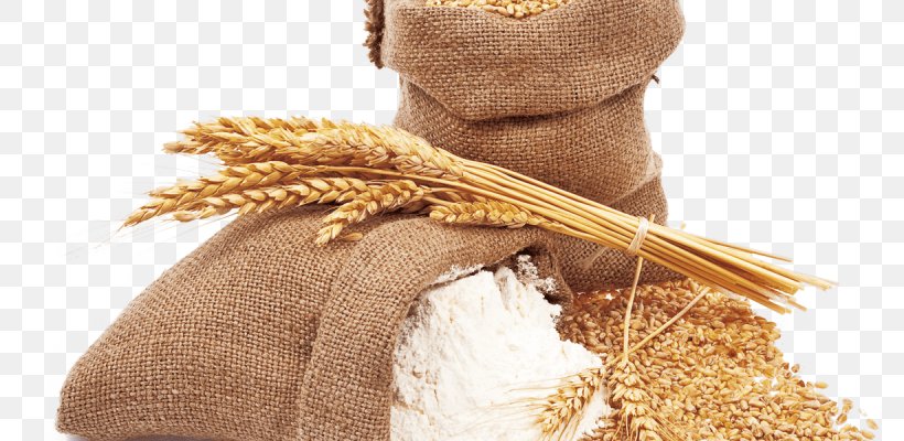 Atta Flour Mill Wheat Flour, PNG, 800x400px, Atta Flour, Bread, Bread Crumbs, Cereal, Cereal Germ Download Free