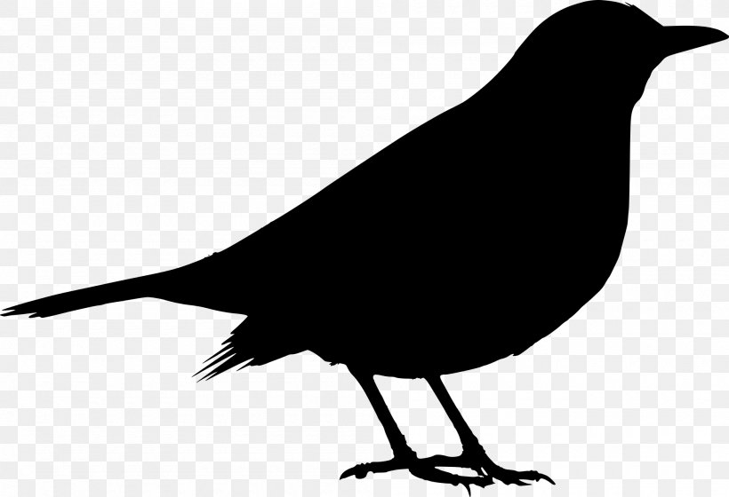 Common Blackbird Silhouette Clip Art, PNG, 2000x1367px, Bird, American Crow, Beak, Black And White, Blackbird Download Free