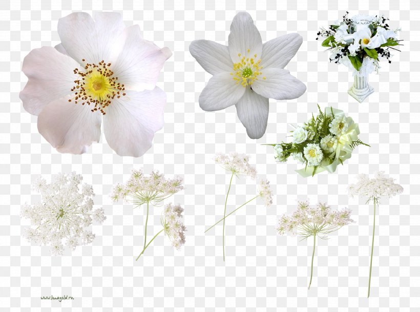 Cut Flowers Floral Design Clip Art, PNG, 2675x1989px, Flower, Blossom, Cut Flowers, Depositfiles, Flora Download Free