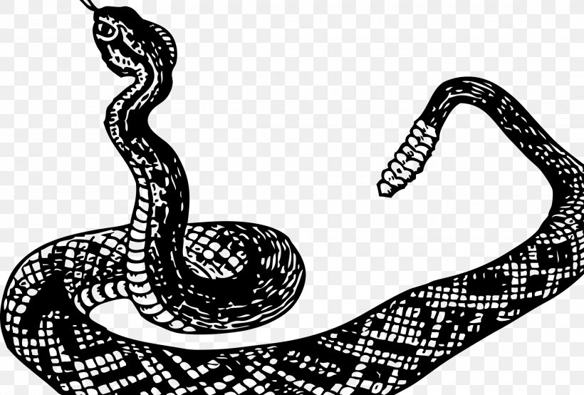 Rattlesnake Boa Constrictor Clip Art, PNG, 2280x1543px, Snake, Anaconda, Black And White, Boa Constrictor, Boas Download Free