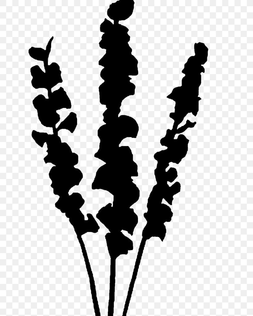 Black & White, PNG, 636x1024px, Black White M, Flower, Flowering Plant, Leaf, Plant Download Free