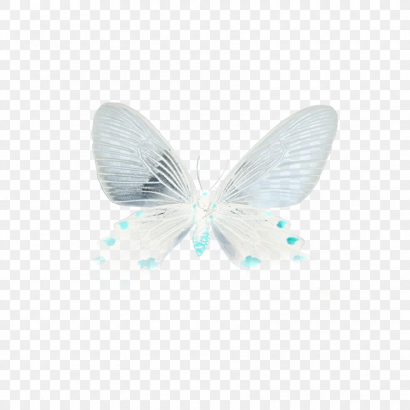 Butterfly Turquoise Microsoft Azure, PNG, 1701x1701px, Butterfly, Insect, Invertebrate, Microsoft Azure, Moths And Butterflies Download Free