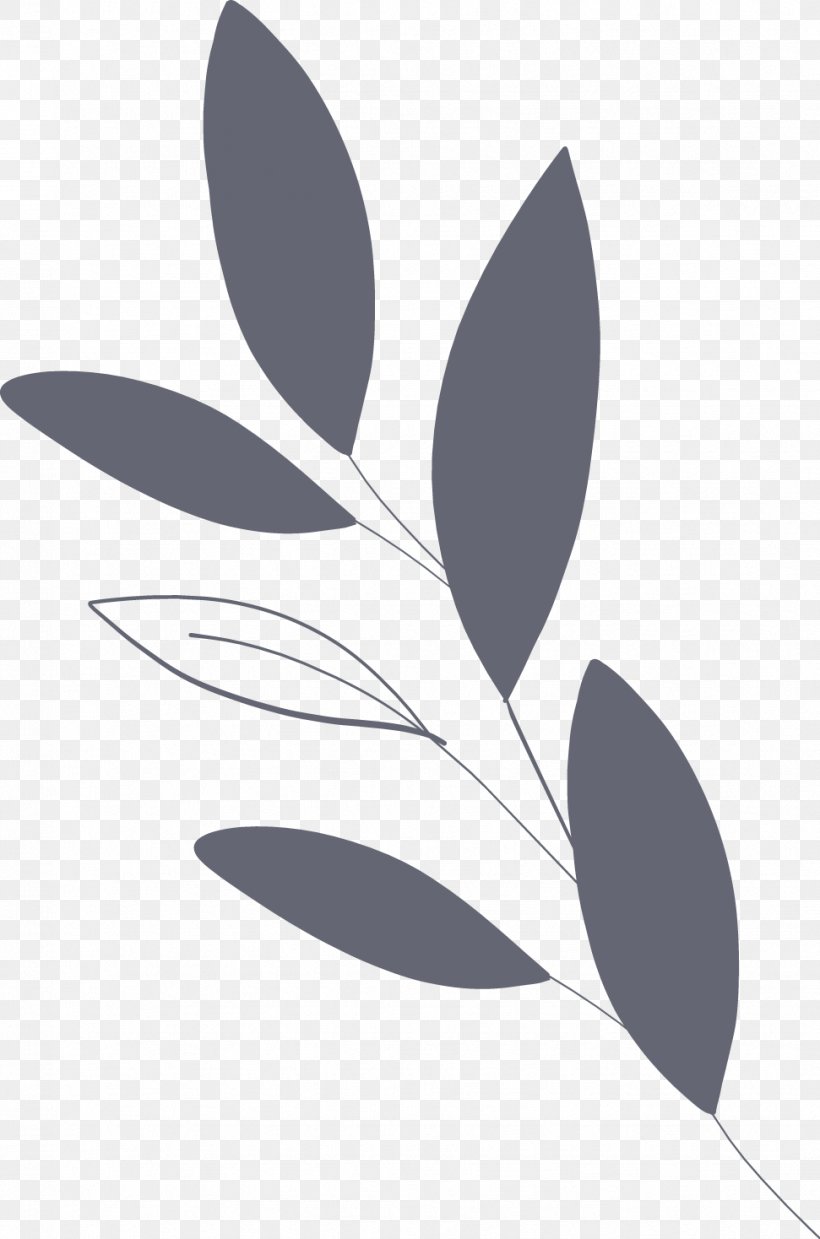 Petal Leaf Pattern, PNG, 971x1468px, Petal, Black And White, Branch, Flora, Flower Download Free