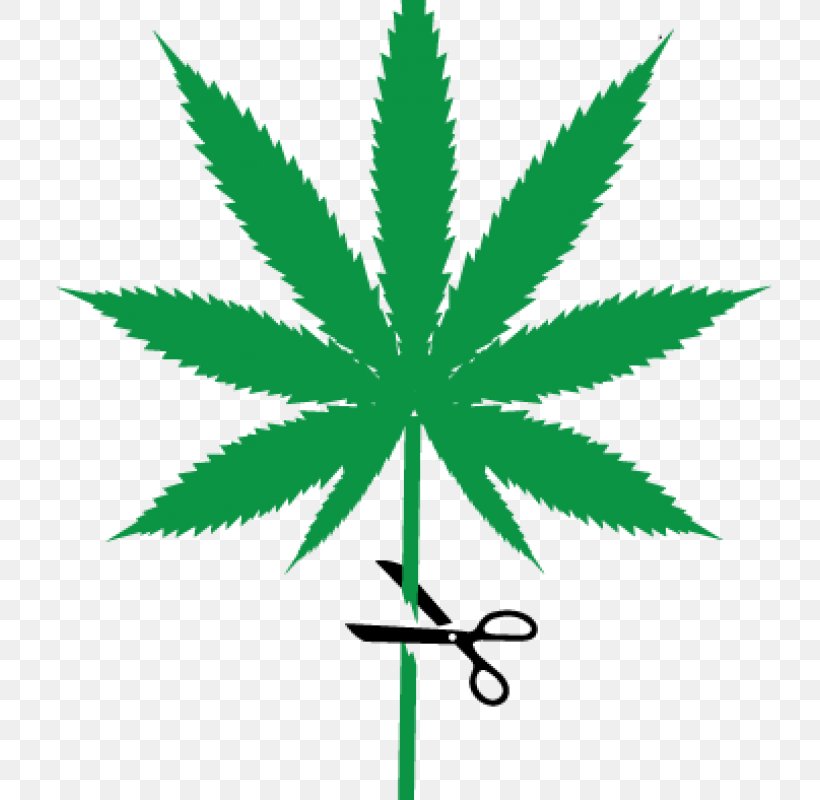 Cannabis Sativa Cannabis Cup Medical Cannabis Joint, PNG, 800x800px, Cannabis Sativa, Cannabis, Cannabis Cultivation, Cannabis Cup, Cannabis Smoking Download Free