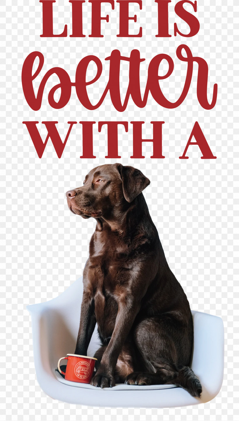 Life Better, PNG, 1706x3000px, Life, Better, Biology, Breed, Companion Dog Download Free