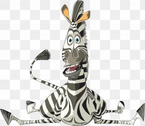 Marty zebra as chris rock dreamworks africa hi-res stock