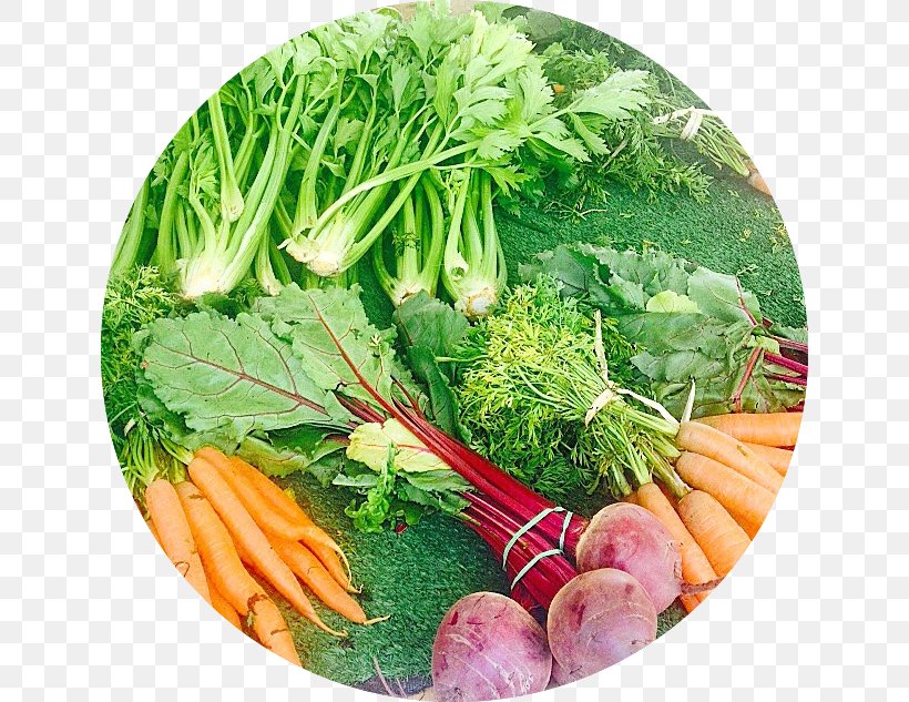 Mirepoix Vegetarian Cuisine Spring Greens Chard Rapini, PNG, 638x633px, Mirepoix, Carrot, Chard, Diet, Diet Food Download Free