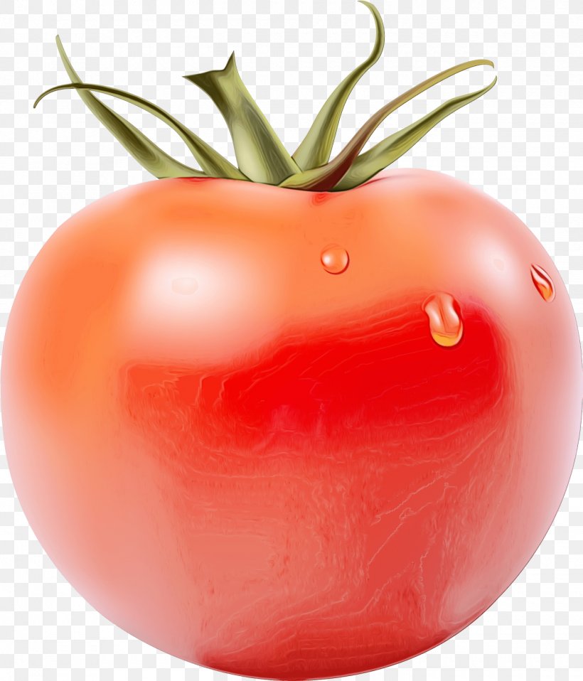 Tomato Cartoon, PNG, 1420x1659px, Plum Tomato, Bush Tomato, Certification, Diet, Diet Food Download Free