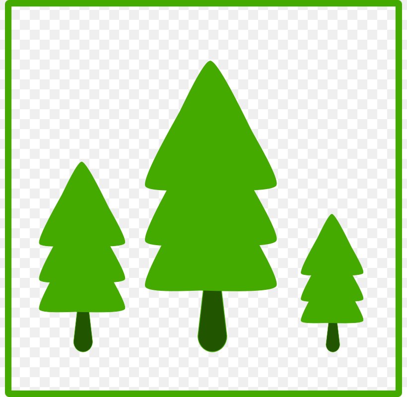 Tree Favicon Green Icon, PNG, 800x800px, Tree, Area, Christmas Decoration, Christmas Ornament, Christmas Tree Download Free