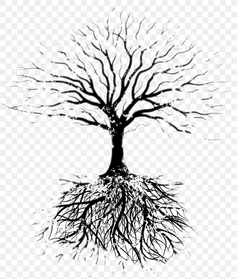 Tree Oak Root Branch, PNG, 1024x1207px, Tree, Black And White, Branch, Drawing, Family Download Free