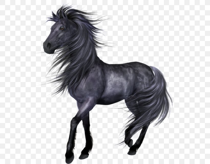Zebra Cartoon, PNG, 574x640px, Mustang, Animal Figure, Arabian Horse, Black, Blackandwhite Download Free