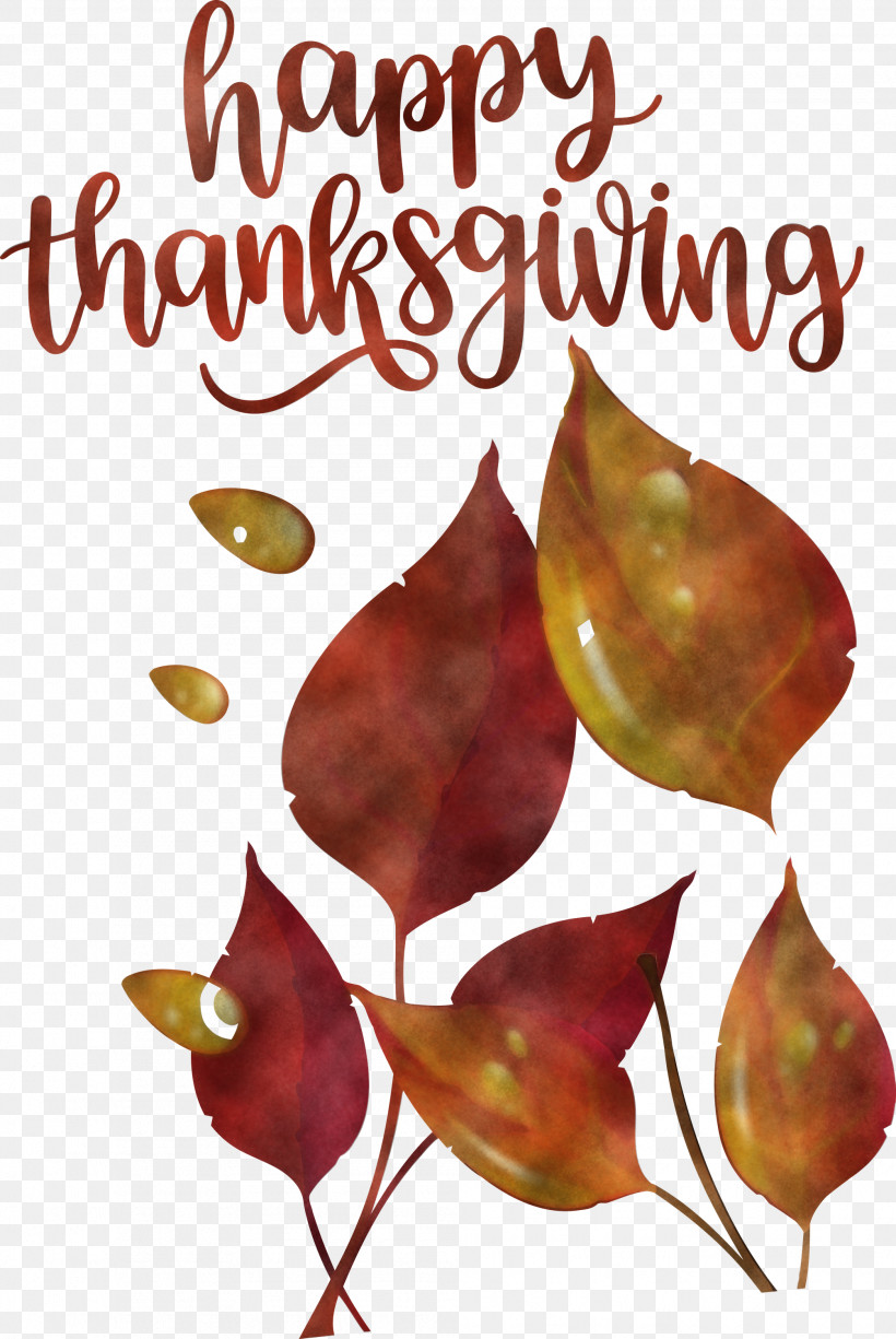 Happy Thanksgiving Autumn Fall, PNG, 2007x3000px, Happy Thanksgiving, Autumn, Biology, Fall, Leaf Download Free