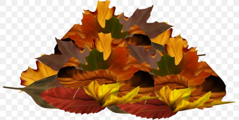 Clip Art Image Autumn, PNG, 800x412px, 3d Computer Graphics, Autumn, Centerblog, Cut Flowers, Digital Image Download Free
