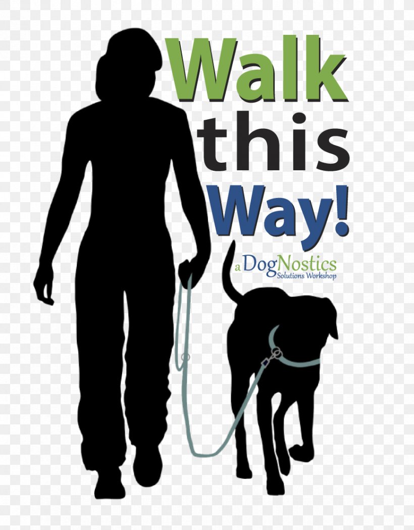 Bernese Mountain Dog Loose Leashes Dog Training Dog Walking, PNG, 868x1111px, Bernese Mountain Dog, Carnivoran, Collar, Dog, Dog Collar Download Free