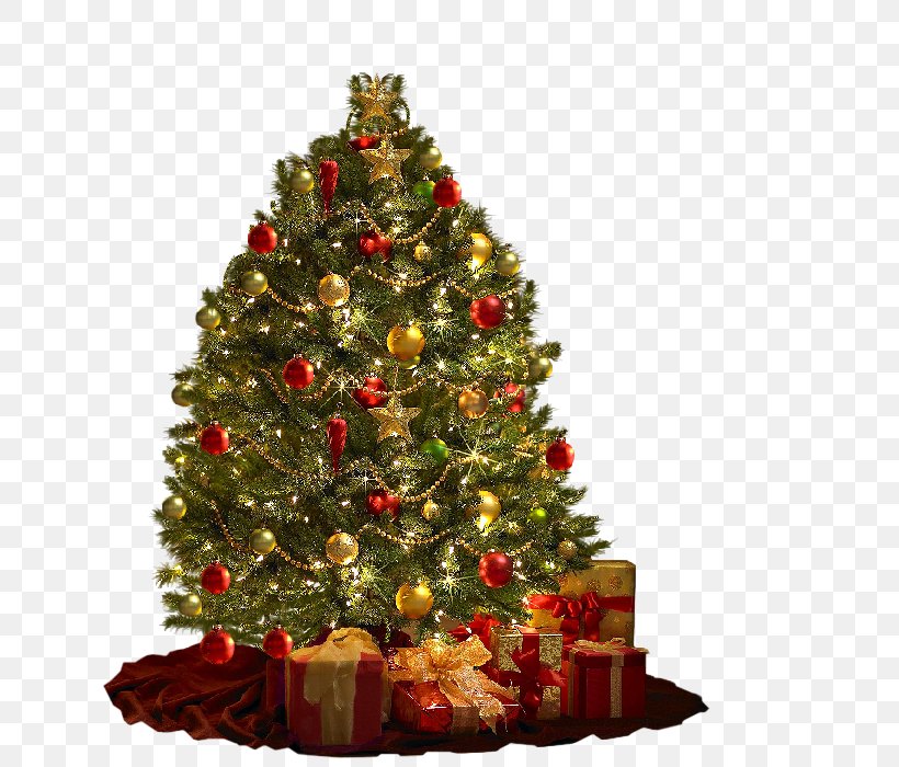 Christmas Decoration Christmas Tree Christmas Ornament A Christmas Carol, PNG, 687x700px, Christmas Decoration, Blue, Christmas, Christmas Card, Christmas Carol Download Free