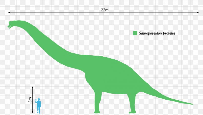 Dinosaur Size Alamosaurus Patagotitan Ornithomimus, PNG, 2000x1130px, Dinosaur Size, Alamosaurus, Area, Bone, Carnivore Download Free