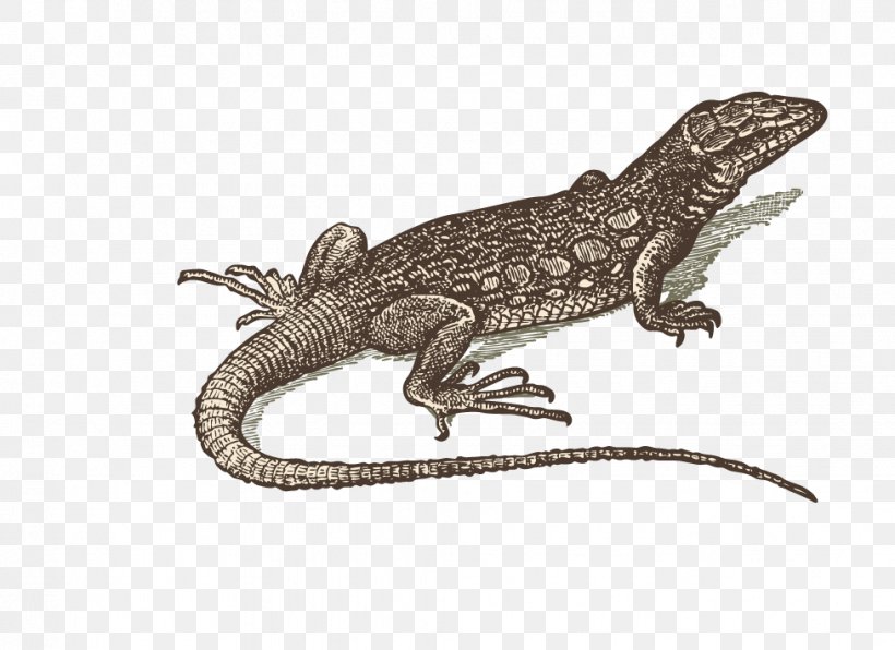 Lizard Reptile Gecko, PNG, 977x711px, Lizard, Agama, Agamidae, Drawing, Fauna Download Free