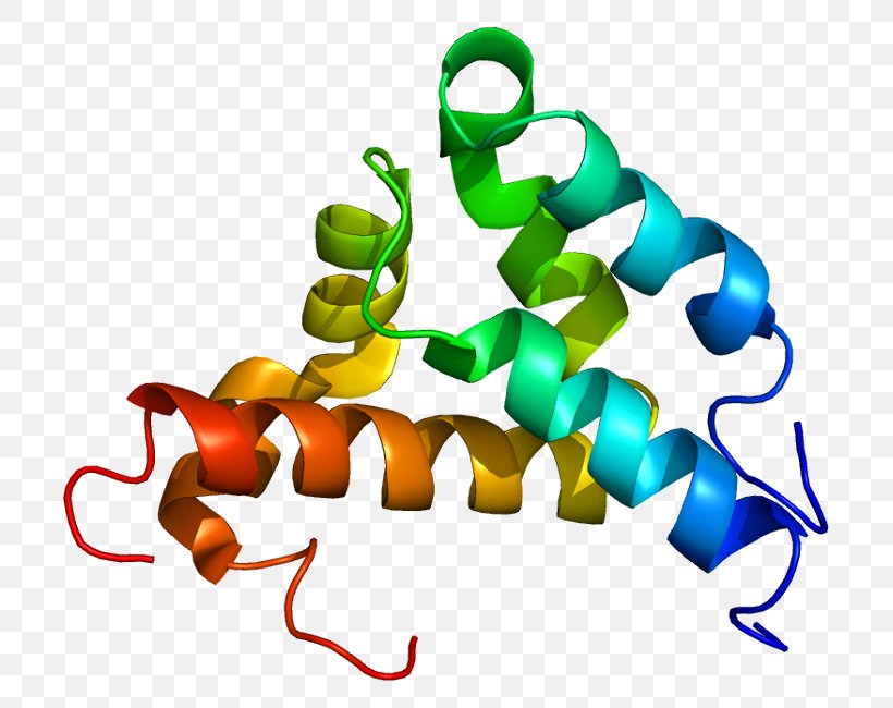 Nuclear Receptor Coactivator 3 Histone Steroid Hormone Receptor, PNG, 753x650px, Coactivator, Anabolic Steroid, Androgen Receptor, Artwork, Estrogen Receptor Download Free