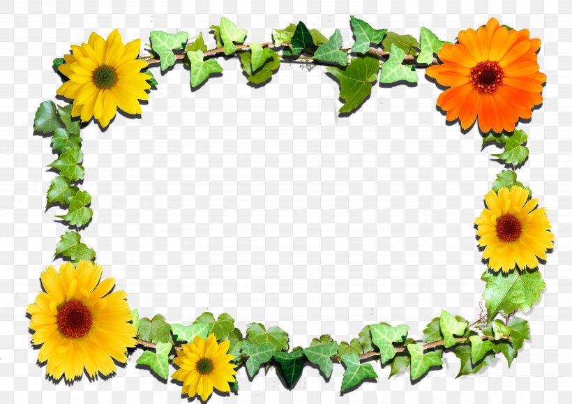 Picture Frames Flower Clip Art, PNG, 3510x2480px, Picture Frames, Annual Plant, Blog, Cut Flowers, Daisy Family Download Free