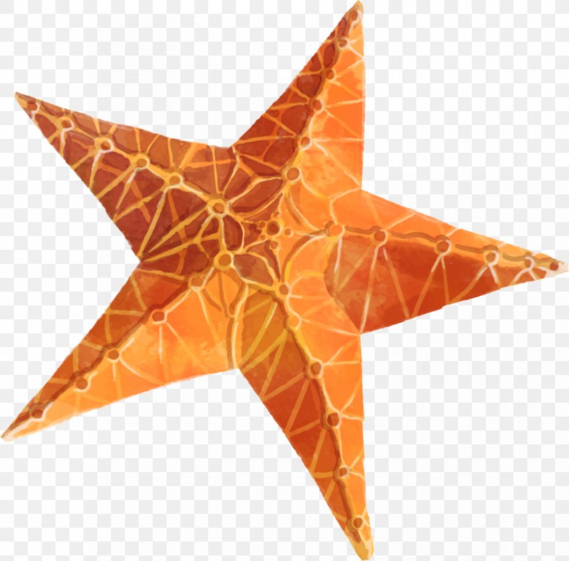 Starfish Star Polygons In Art And Culture Clip Art, PNG, 839x827px, Star, Fivepointed Star, Marine Invertebrates, Orange, Outline Download Free