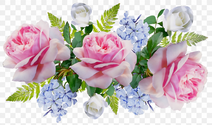 Garden Roses, PNG, 2560x1522px, Watercolor, Artificial Flower, Cabbage Rose, Cut Flowers, Floral Design Download Free
