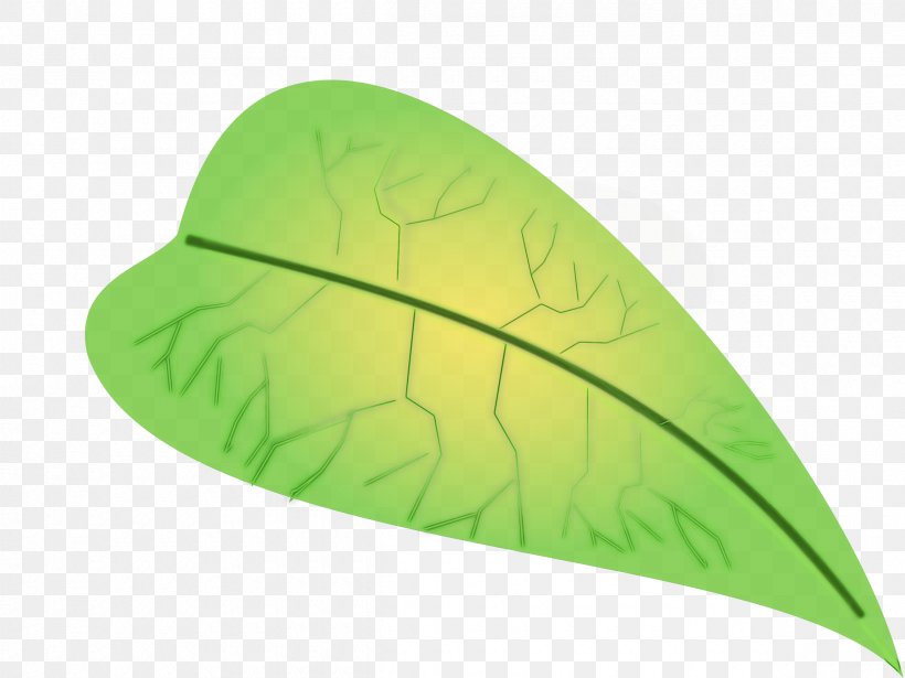 Leaf Green Plant Grass Logo, PNG, 2400x1800px, Watercolor, Grass, Green, Leaf, Logo Download Free