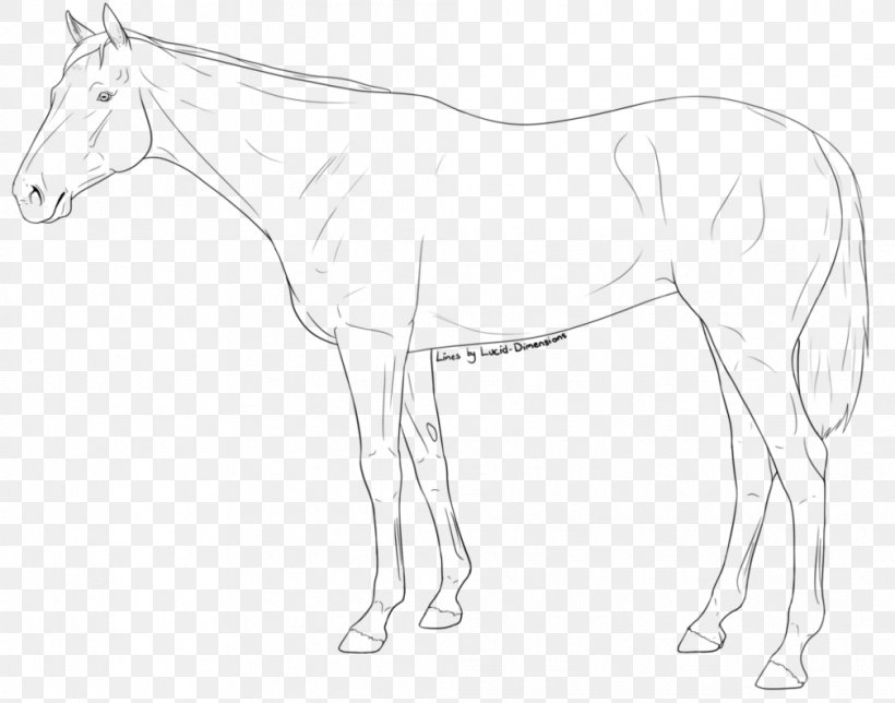 Mule Foal Halter Stallion Colt, PNG, 1008x792px, Mule, Animal Figure, Arm, Artwork, Black And White Download Free