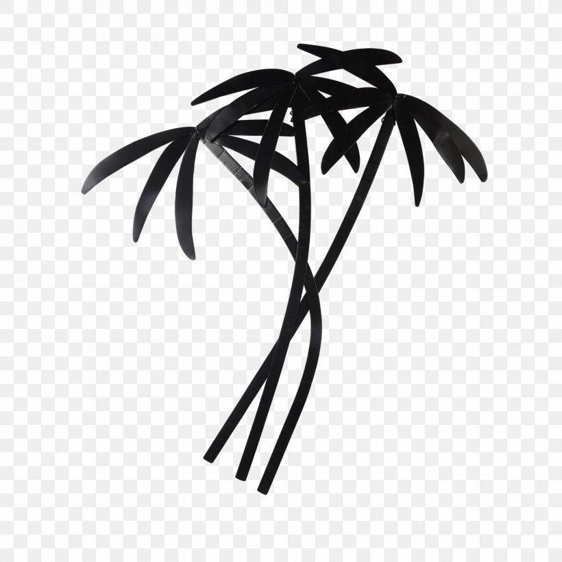 Palm Tree, PNG, 1800x1800px, Tree, Arecales, Blackandwhite, Branch, Flower Download Free