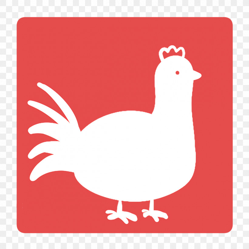 Rooster Ducks Chicken Water Bird Birds, PNG, 1200x1200px, Rooster, Area, Beak, Birds, Chicken Download Free