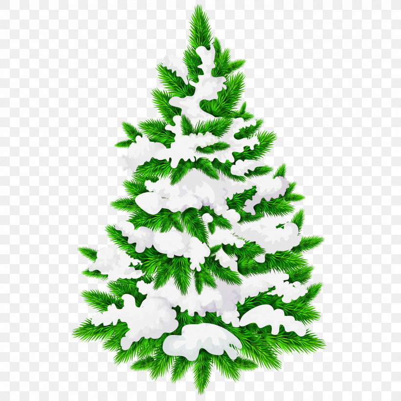Christmas Tree, PNG, 3000x3000px, Shortleaf Black Spruce, American Larch, Balsam Fir, Canadian Fir, Christmas Download Free