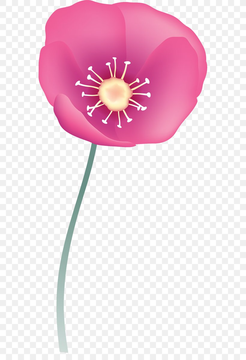 Balloon Birthday Clip Art, PNG, 563x1200px, Balloon, Birthday, Flower, Flower Bouquet, Flowering Plant Download Free