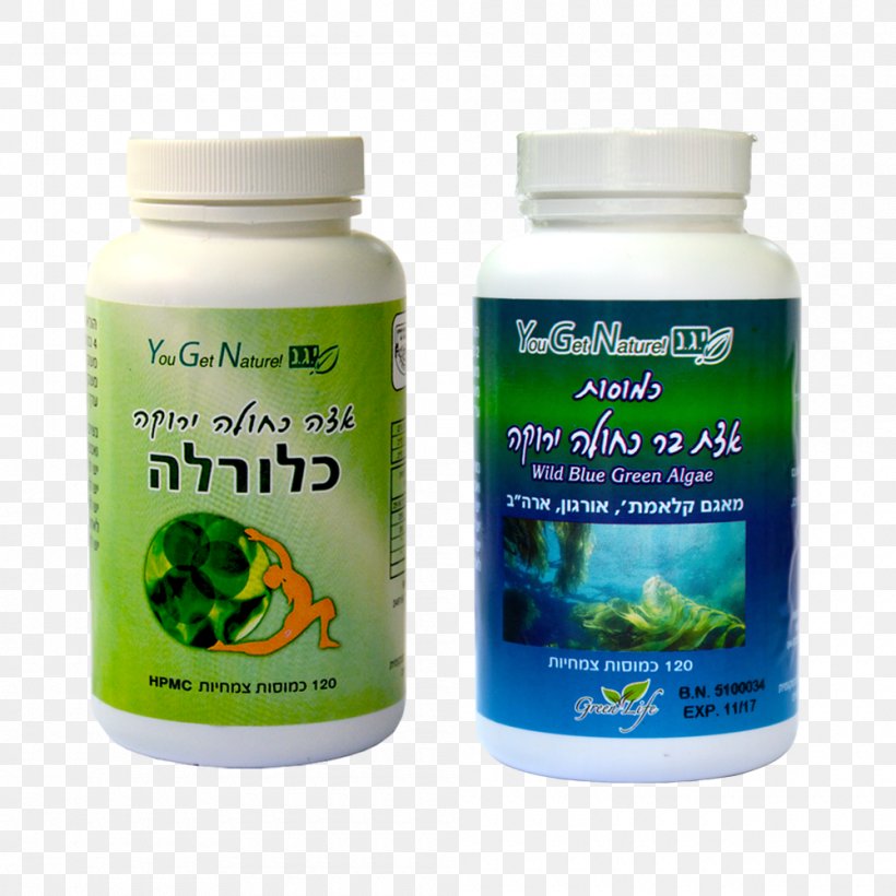 Dietary Supplement Green Algae Aphanizomenon Flos-aquae Chlorella, PNG, 1000x1000px, Dietary Supplement, Algae, Blue, Bluegreen Bacteria, Chlorella Download Free