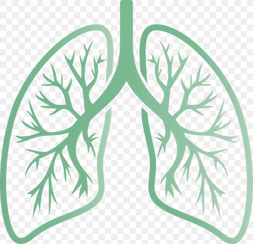 Lungs COVID Corona Virus Disease, PNG, 3000x2904px, Lungs, Branch, Corona Virus Disease, Covid, Green Download Free