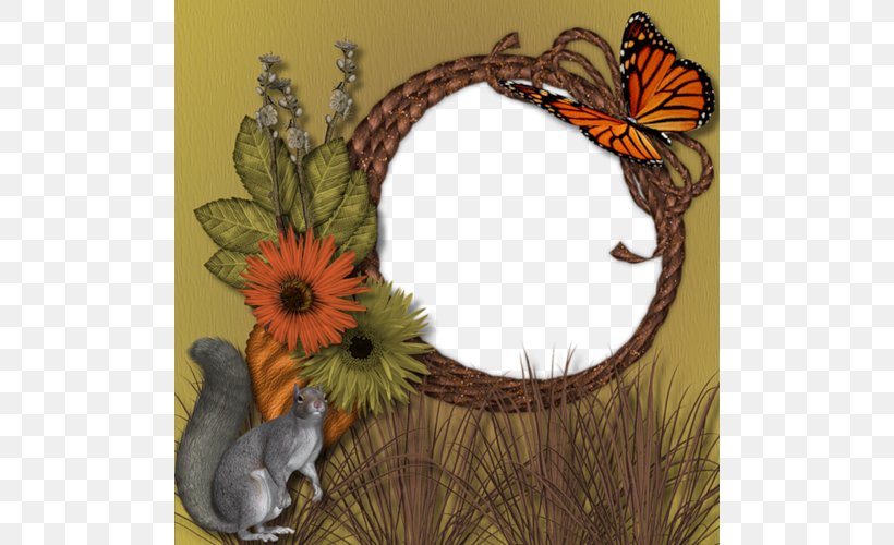 Picture Frame Squirrel! FREE Photography, PNG, 500x500px, Picture Frame, Android, Animation, Charcoal, Decor Download Free
