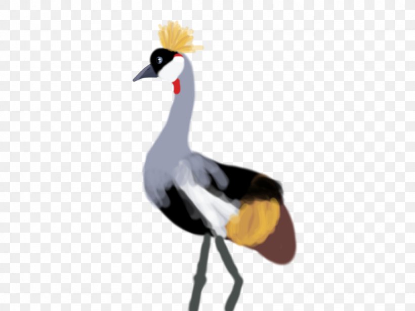 Duck Goose Beak Wildlife Animal, PNG, 1024x768px, Duck, Animal, Beak, Bird, Crane Download Free