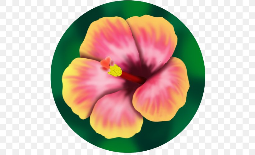 Rosemallows Pansy Annual Plant, PNG, 500x500px, Rosemallows, Annual Plant, Flower, Flowering Plant, Hibiscus Download Free