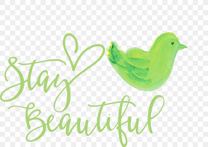 Birds Logo Beak Font Green, PNG, 3000x2122px, Stay Beautiful, Beak, Biology, Birds, Fashion Download Free