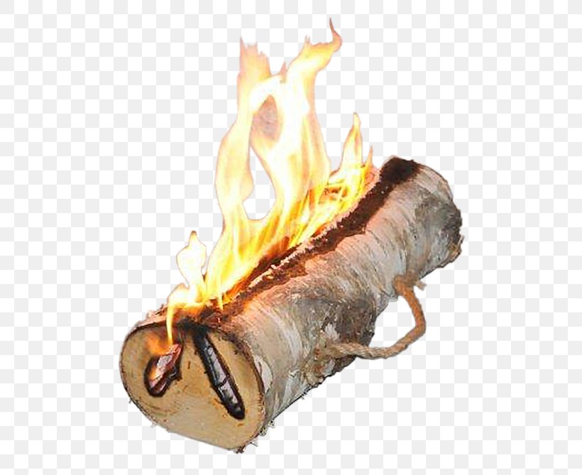 Bonfire Yule Log Fireplace Light, PNG, 558x669px, Bonfire, Berken, Birch, Campfire, Candela Download Free