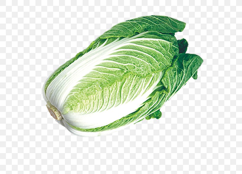 Chinese Cabbage Napa Cabbage Umami Vegetable, PNG, 591x591px, Chinese Cabbage, Cabbage, Cauliflower, Collard Greens, Farmers Market Download Free