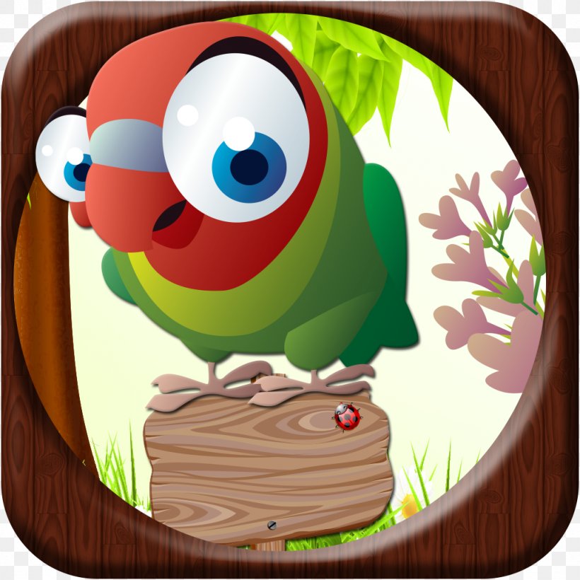 Bird Vertebrate Owl Parrot, PNG, 1024x1024px, Bird, Animal, Beak, Cartoon, Grass Download Free
