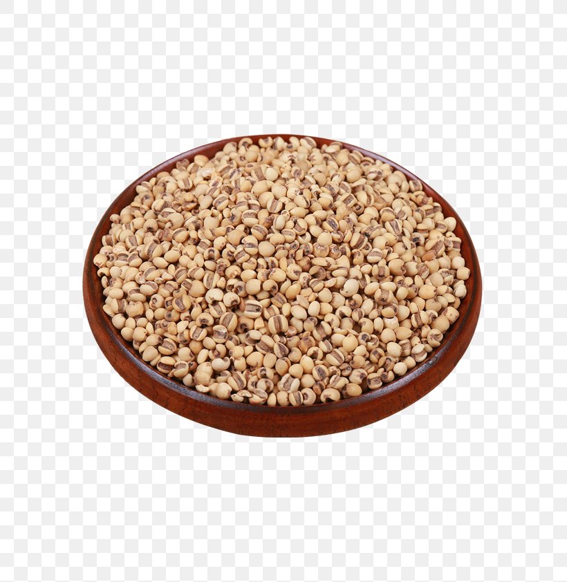 Cereal Tea Barley Rice, PNG, 595x842px, Cereal, Barley, Caryopsis, Coix Lacrymajobi, Commodity Download Free