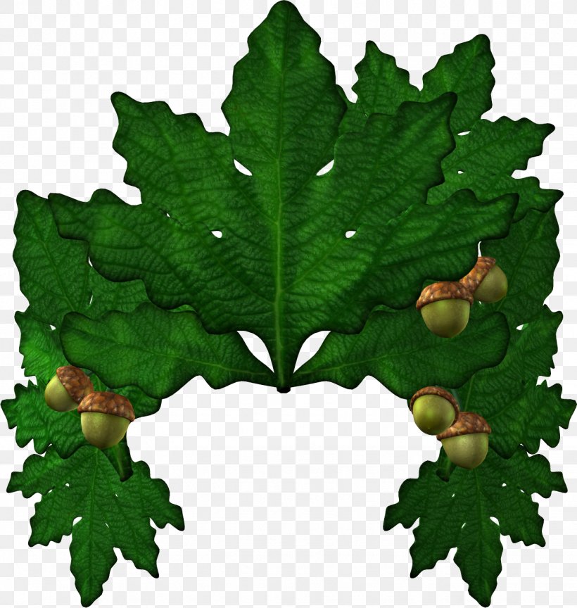 Clip Art Oak Eichenlaub Leaf, PNG, 1329x1401px, Oak, Acorn, Email, Flowering Plant, Grape Leaves Download Free