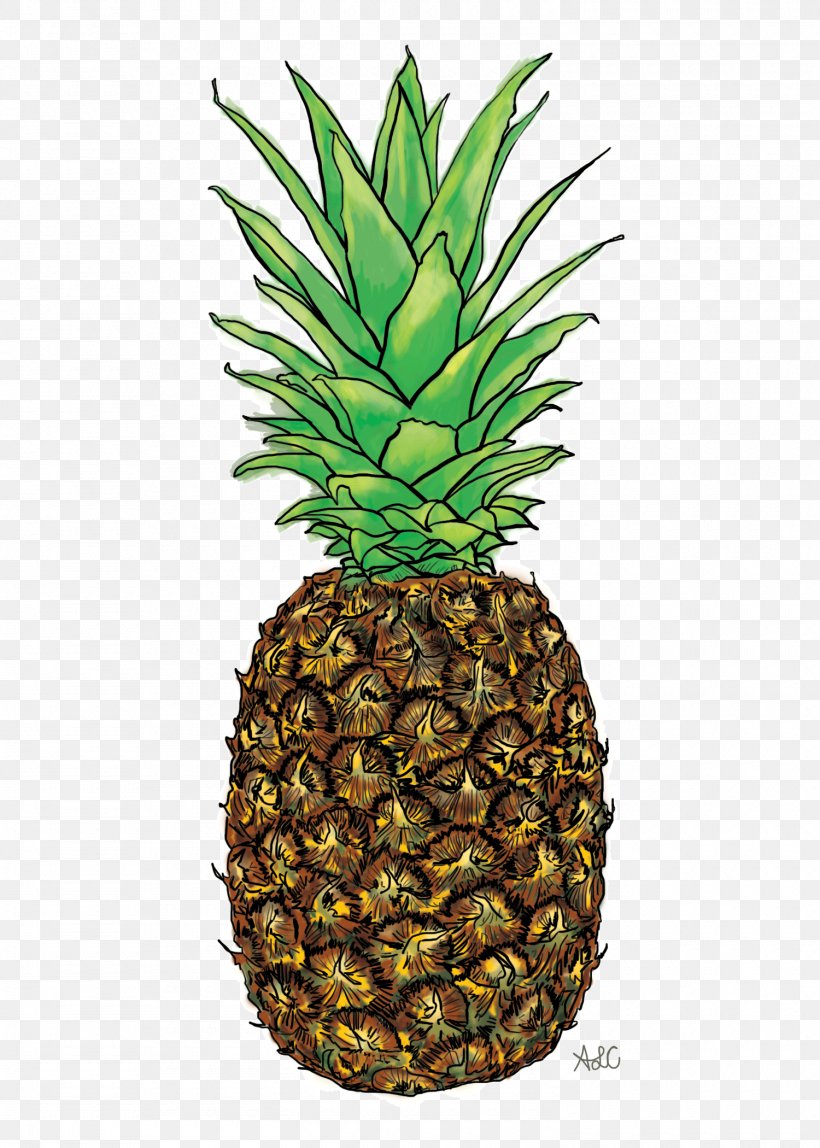 Pineapple Graphic Design Painting Wacom Cintiq Companion Hybrid 32 GB, PNG, 1500x2100px, Pineapple, Ananas, Bromeliaceae, Designer, Flowerpot Download Free