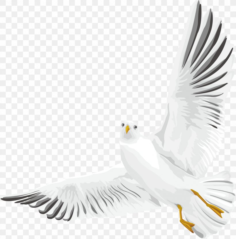 Rock Dove Columbidae Bird Euclidean Vector, PNG, 2424x2465px, Rock Dove, Beak, Bird, Bird Of Prey, Black And White Download Free
