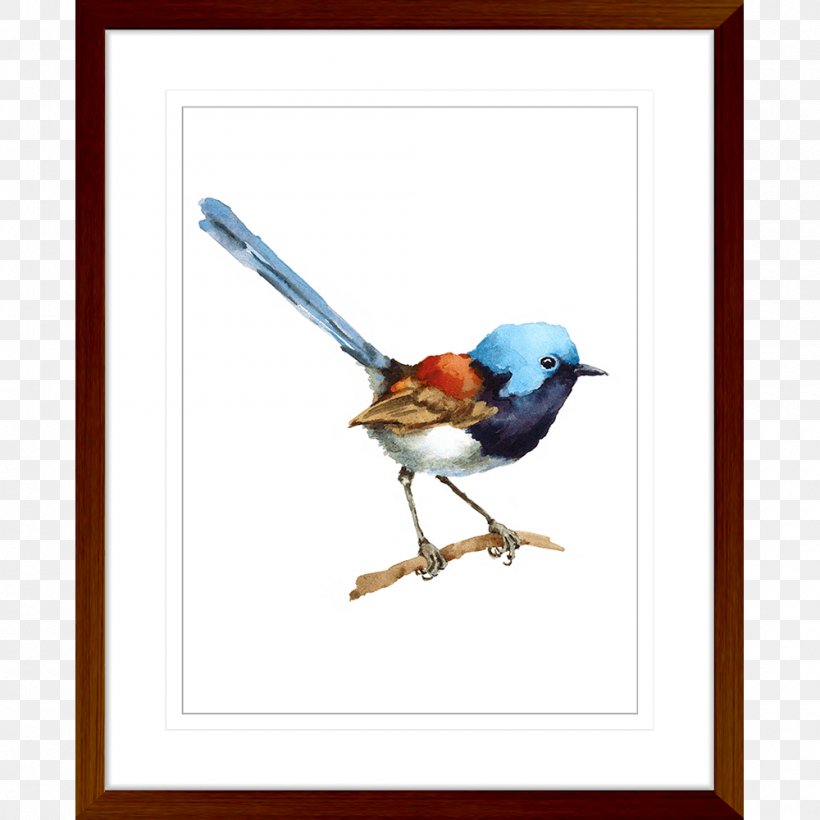 Superb Fairywren Bird Watercolor Painting, PNG, 1000x1000px, Wren, Art, Beak, Bird, Bluebird Download Free