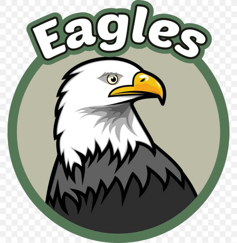 Bald Eagle Evergreen Elementary School Primary Education, PNG, 768x841px, Bald Eagle, Accipitriformes, Art School, Beak, Bird Download Free