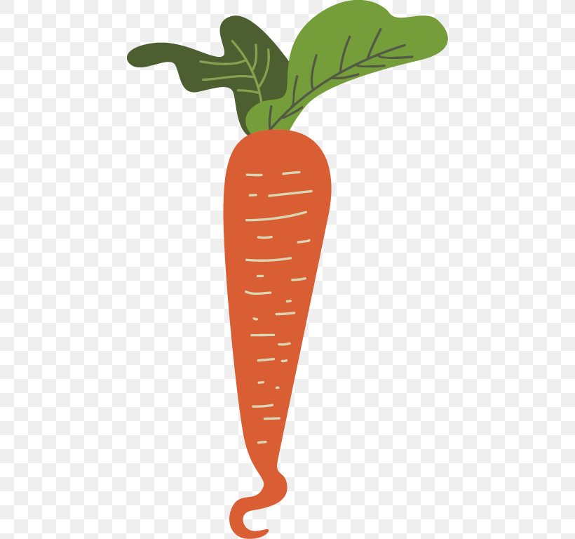 Carrot Vegetable Radish, PNG, 458x768px, Carrot, Agriculture, Daucus Carota, Food, Fruit Download Free