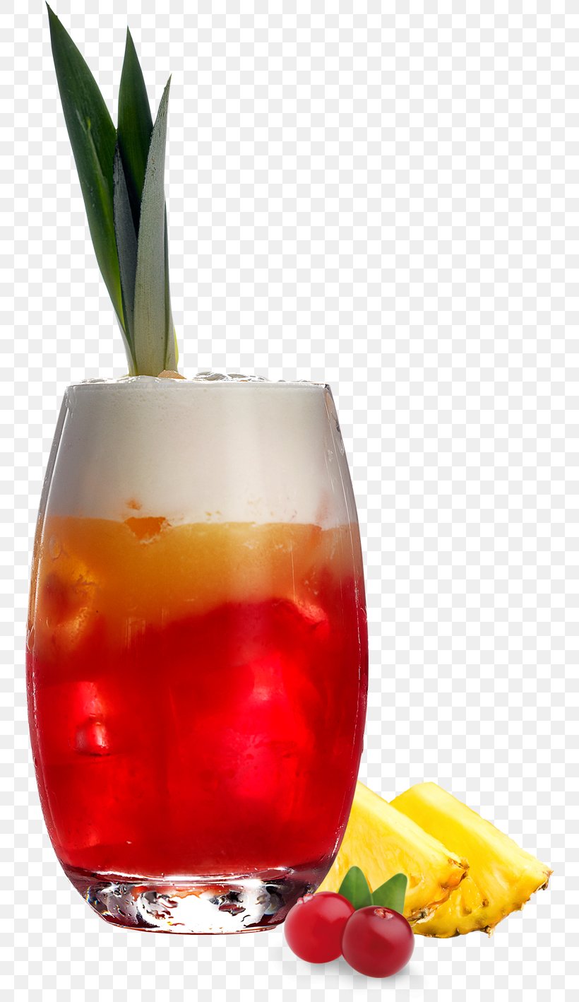 Cocktail Garnish Sea Breeze Juice Wine Cocktail, PNG, 750x1418px, Cocktail Garnish, Bloody Mary, Carbonated Water, Cocktail, Cuba Libre Download Free