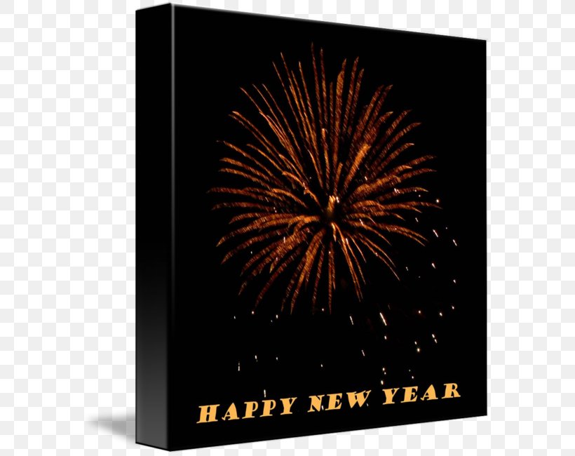 Fireworks New Year Stock Photography, PNG, 585x650px, Fireworks, Event, New Year, Photography, Stock Photography Download Free