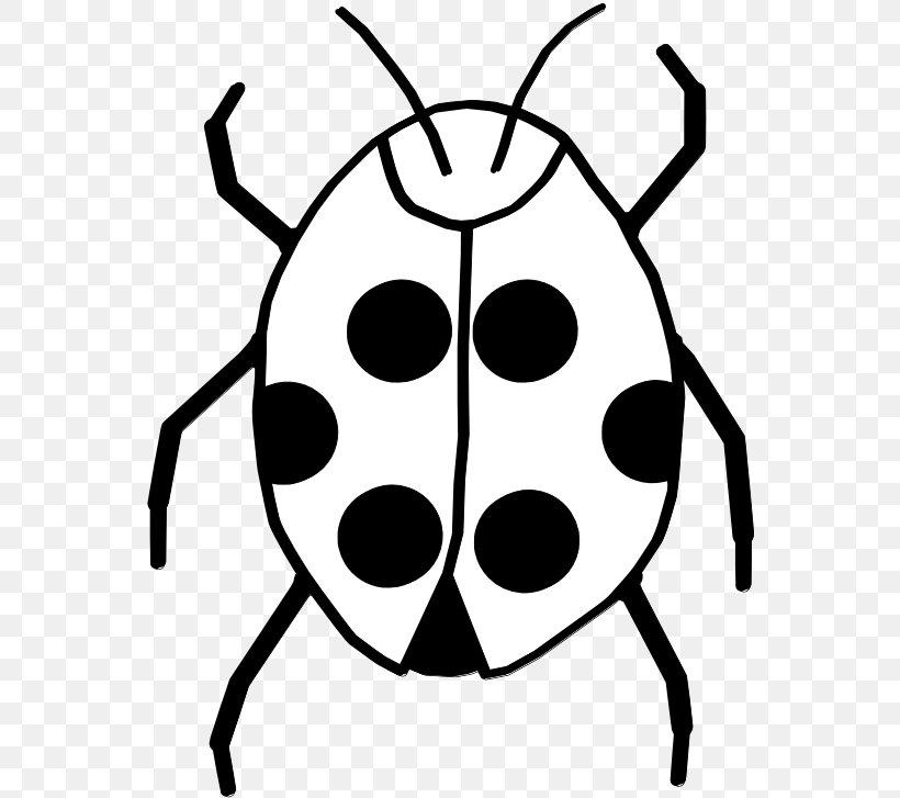 Ladybird Beetle Clip Art Black And White Image, PNG, 555x727px, Ladybird Beetle, Artwork, Beetle, Black, Black And White Download Free